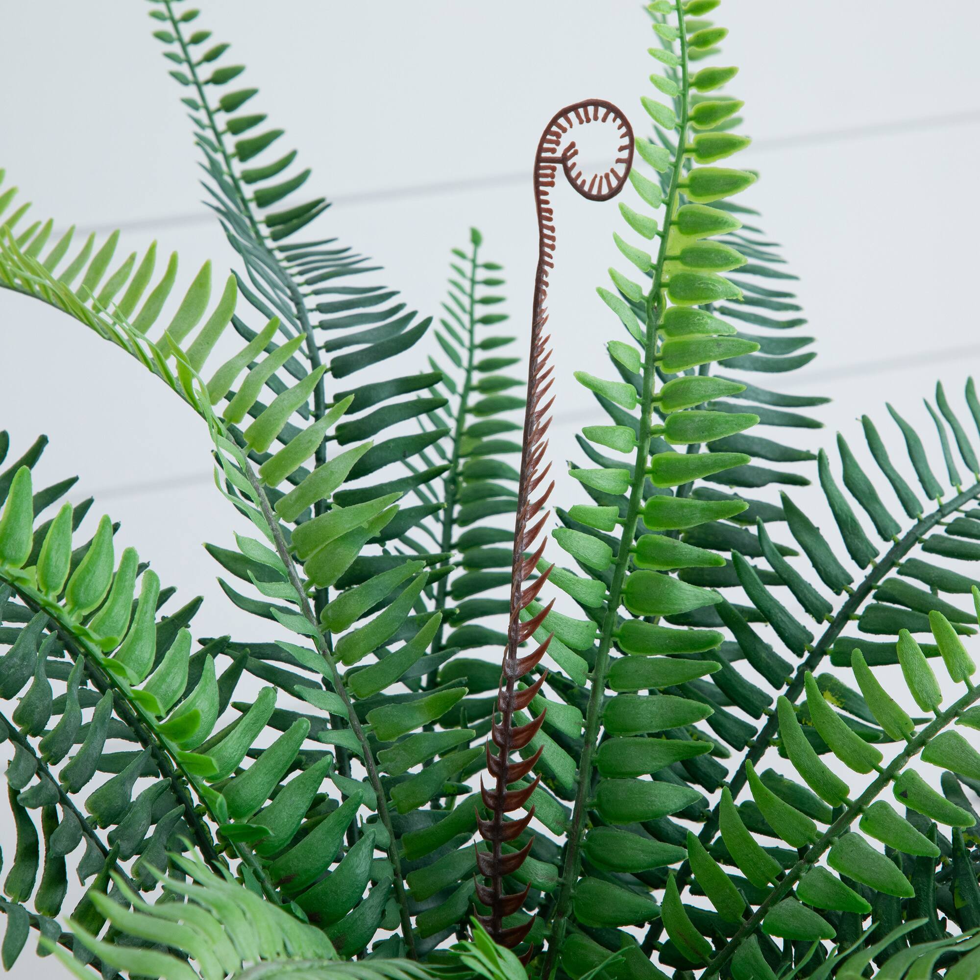 16" Artificial Boston Fern Plant in Decorative Cement Planter
